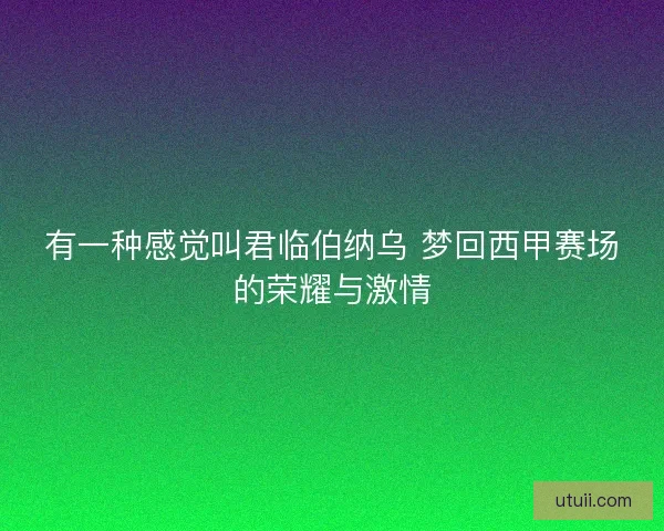 有一种感觉叫君临伯纳乌 梦回西甲赛场的荣耀与激情