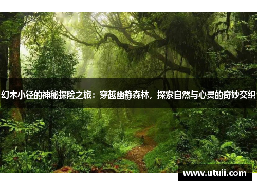 幻木小径的神秘探险之旅：穿越幽静森林，探索自然与心灵的奇妙交织