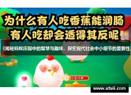 《揭秘蚂蚁庄园中的智慧与趣味，探索现代社会中小细节的重要性》