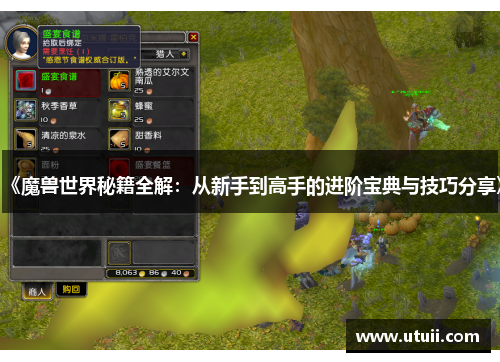 《魔兽世界秘籍全解：从新手到高手的进阶宝典与技巧分享》