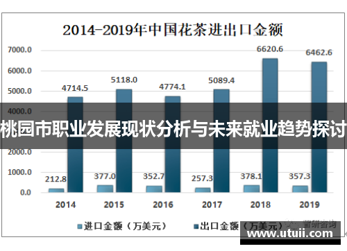 桃园市职业发展现状分析与未来就业趋势探讨